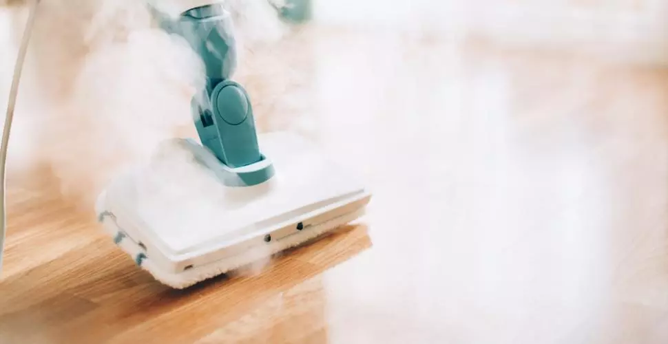 Avantajele si dezavantajele mopului cu aburi