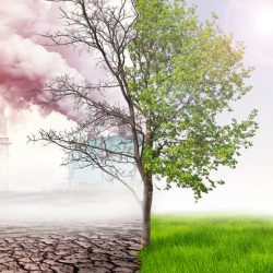 Curiozitati despre incalzirea globala