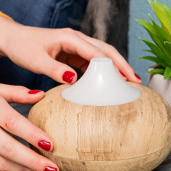 Avantajele si dezavantajele unui umidificator